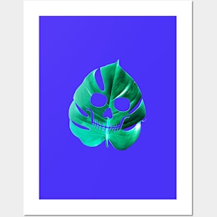 Monstera Monster Posters and Art